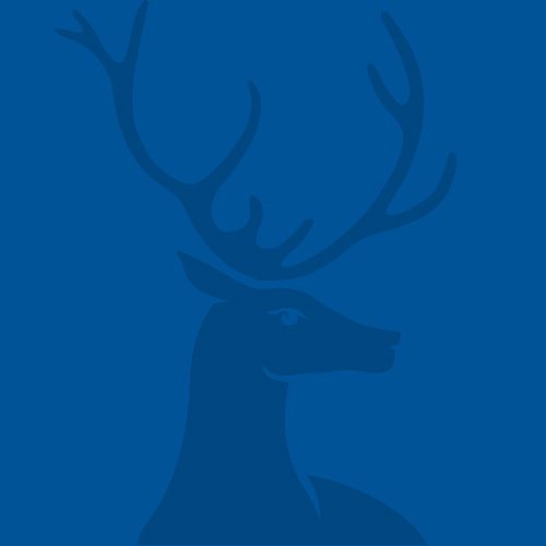 Grey Court School First Aid and Administrative Officer